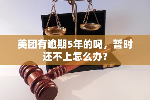 美团有逾期5年的吗，暂时还不上怎么办？