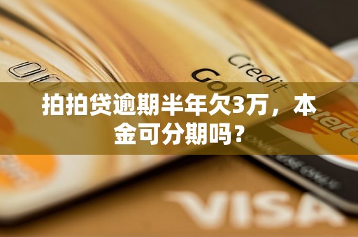 拍拍贷逾期半年欠3万，本金可分期吗？