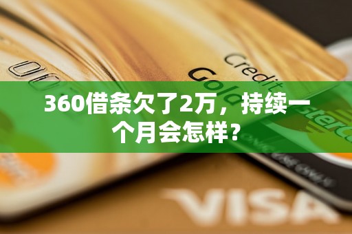 360借条欠了2万，持续一个月会怎样？