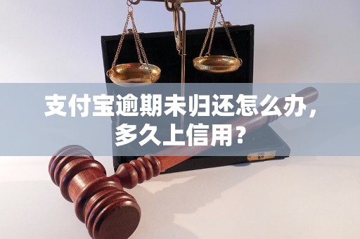 支付宝逾期未归还怎么办，多久上信用？