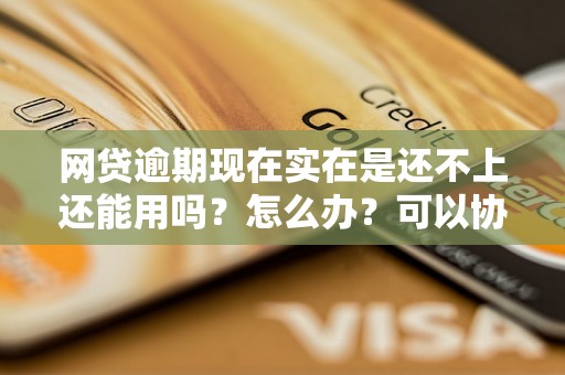 网贷逾期现在实在是还不上还能用吗？怎么办？可以协商还本金吗？