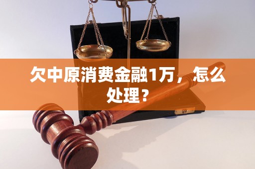 欠中原消费金融1万，怎么处理？