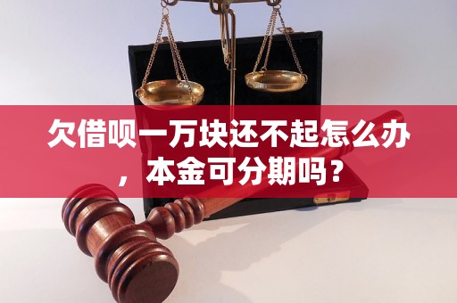 欠借呗一万块还不起怎么办，本金可分期吗？