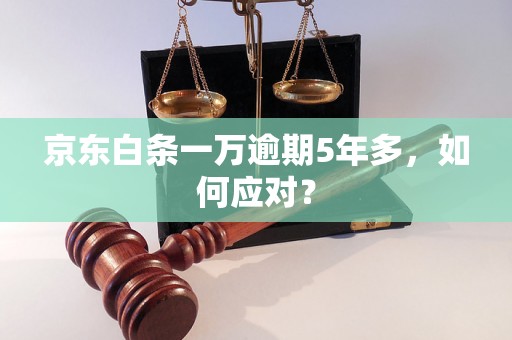 京东白条一万逾期5年多，如何应对？