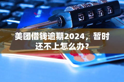 美团借钱逾期2024，暂时还不上怎么办？