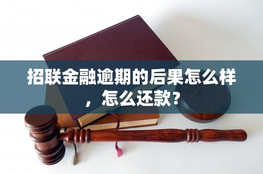 招联金融逾期的后果怎么样，怎么还款？