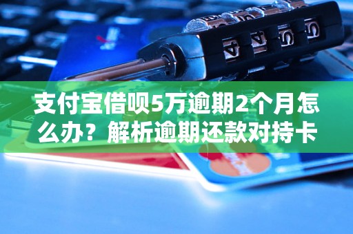 支付宝借呗5万逾期2个月怎么办？解析逾期还款对持卡人的影响