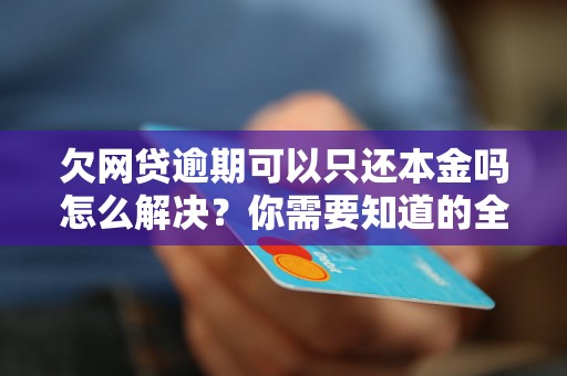 欠网贷逾期可以只还本金吗怎么解决？你需要知道的全部解决方法