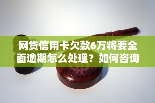 网贷信用卡欠款6万将要全面逾期怎么处理？如何咨询相关问题？