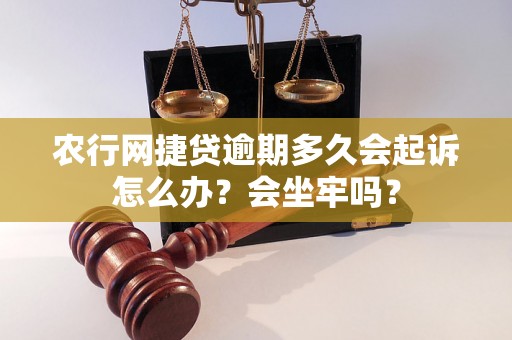 农行网捷贷逾期多久会起诉怎么办？会坐牢吗？