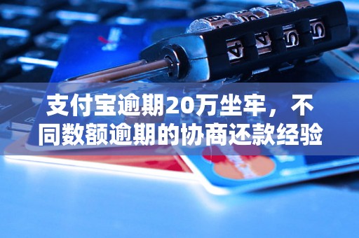 支付宝逾期20万坐牢，不同数额逾期的协商还款经验分享