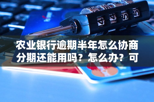 农业银行逾期半年怎么协商分期还能用吗？怎么办？可以协商还本金吗？