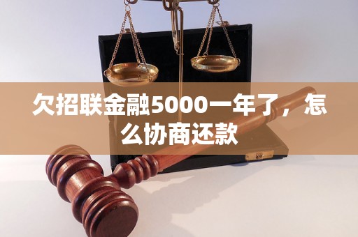 欠招联金融5000一年了，怎么协商还款