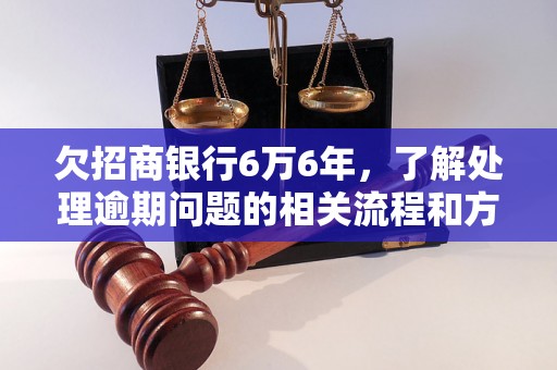 欠招商银行6万6年，了解处理逾期问题的相关流程和方法