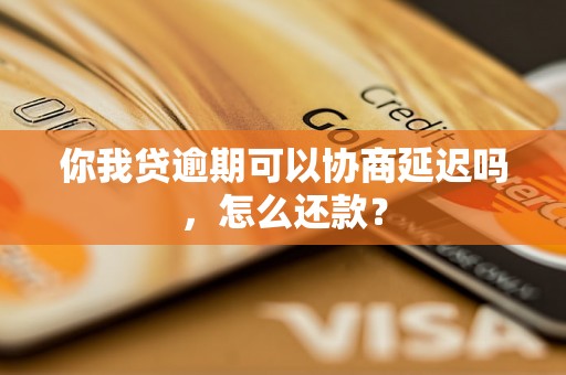 你我贷逾期可以协商延迟吗，怎么还款？