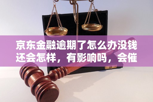 京东金融逾期了怎么办没钱还会怎样，有影响吗，会催收吗？