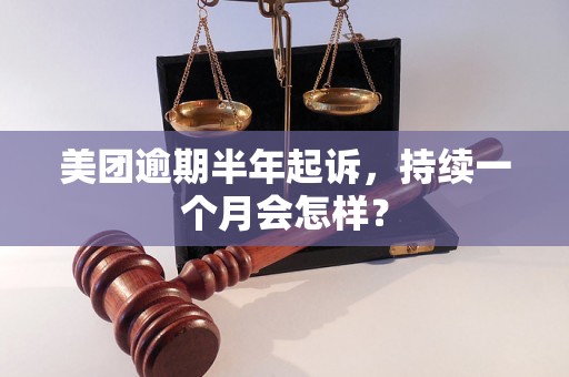 美团逾期半年起诉，持续一个月会怎样？