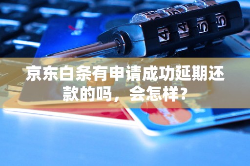 京东白条有申请成功延期还款的吗，会怎样？