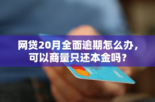 网贷20月全面逾期怎么办，可以商量只还本金吗？