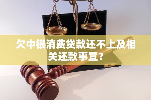 欠中银消费贷款还不上及相关还款事宜？