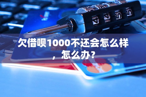 欠借呗1000不还会怎么样，怎么办？