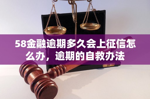 58金融逾期多久会上征信怎么办，逾期的自救办法