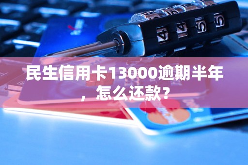 民生信用卡13000逾期半年，怎么还款？