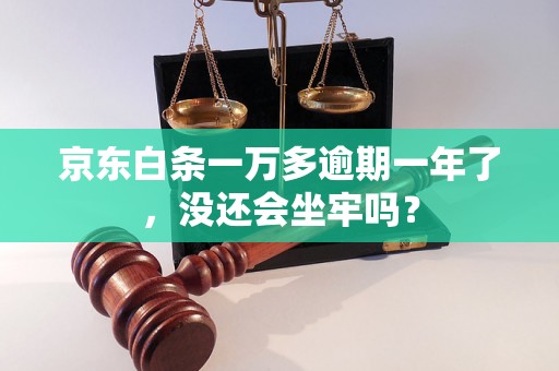 京东白条一万多逾期一年了，没还会坐牢吗？