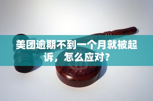 美团逾期不到一个月就被起诉，怎么应对？