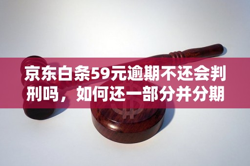 京东白条59元逾期不还会判刑吗，如何还一部分并分期？