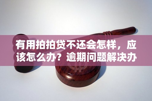 有用拍拍贷不还会怎样，应该怎么办？逾期问题解决办法