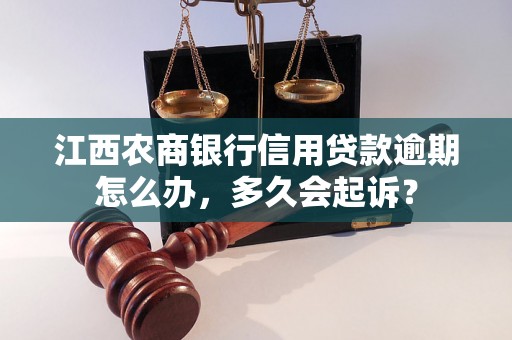 江西农商银行信用贷款逾期怎么办，多久会起诉？