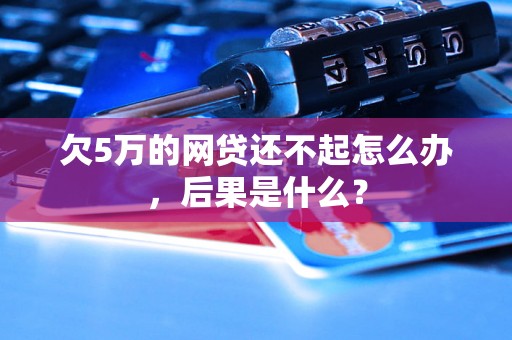 欠5万的网贷还不起怎么办，后果是什么？