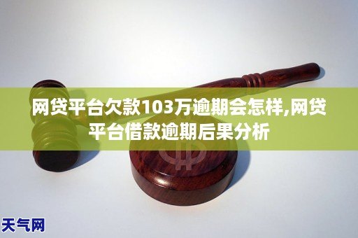 网贷平台欠款103万逾期会怎样,网贷平台借款逾期后果分析