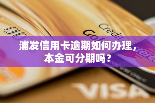 浦发信用卡逾期如何办理，本金可分期吗？