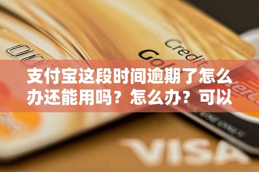 支付宝这段时间逾期了怎么办还能用吗？怎么办？可以协商还本金吗？