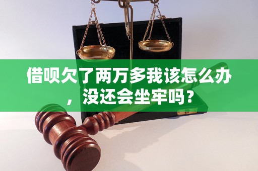 借呗欠了两万多我该怎么办，没还会坐牢吗？