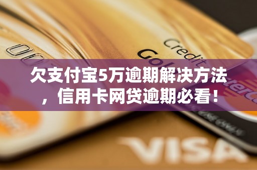 欠支付宝5万逾期解决方法，信用卡网贷逾期必看！