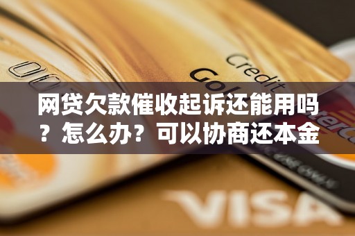 网贷欠款催收起诉还能用吗？怎么办？可以协商还本金吗？