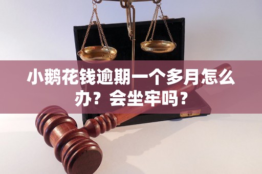 小鹅花钱逾期一个多月怎么办？会坐牢吗？