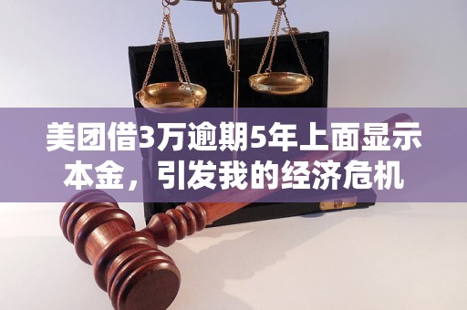 美团借3万逾期5年上面显示本金，引发我的经济危机