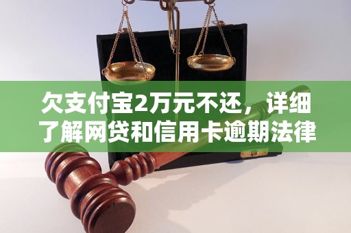 欠支付宝2万元不还，详细了解网贷和信用卡逾期法律后果