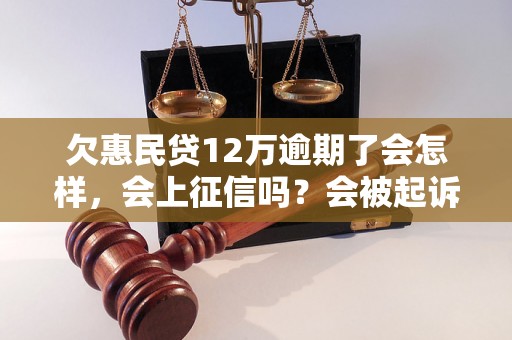 欠惠民贷12万逾期了会怎样，会上征信吗？会被起诉吗？