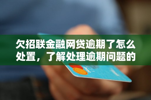 欠招联金融网贷逾期了怎么处置，了解处理逾期问题的相关流程和方法