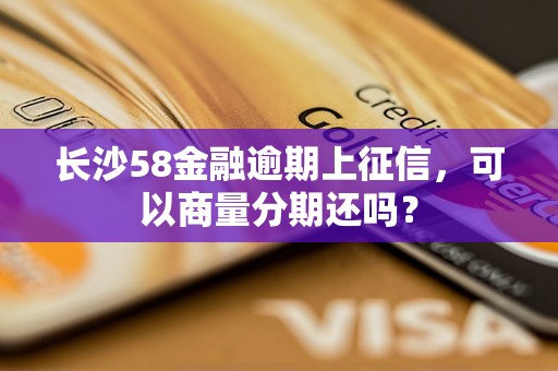 长沙58金融逾期上征信，可以商量分期还吗？