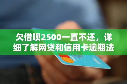 欠借呗2500一直不还，详细了解网贷和信用卡逾期法律后果