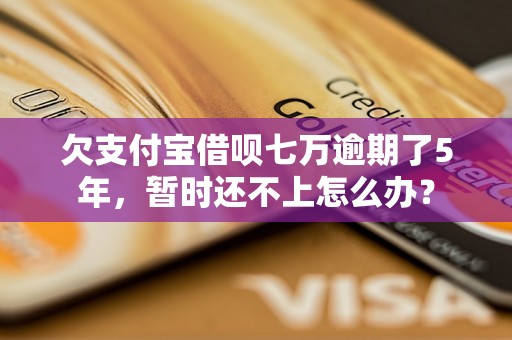 欠支付宝借呗七万逾期了5年，暂时还不上怎么办？