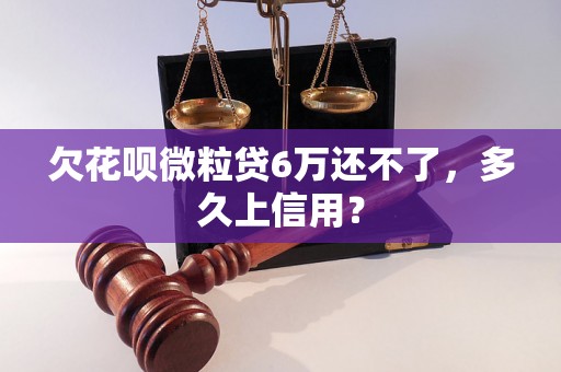 欠花呗微粒贷6万还不了，多久上信用？