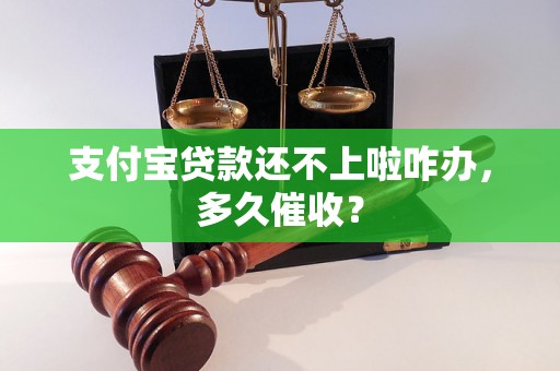 支付宝贷款还不上啦咋办，多久催收？