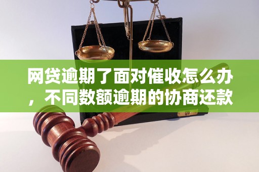 网贷逾期了面对催收怎么办，不同数额逾期的协商还款经验分享